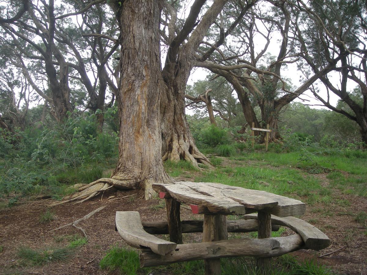 לה פלן דה קפרה Relais Du Volcan מראה חיצוני תמונה