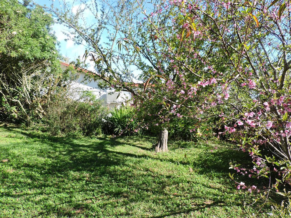 לה פלן דה קפרה Relais Du Volcan מראה חיצוני תמונה